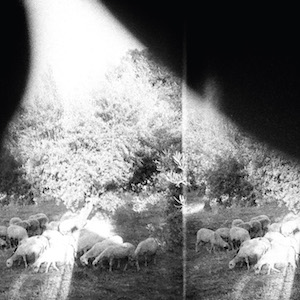 post rock 2015 Godspeed You Black Emperor Asunder Sweet and Other Distress FLAC Tracks 100 XY