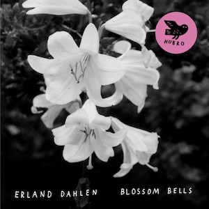 jazz post rock 2015 Erland Dahlen Blossom Bells FLAC Tracks 100 XY